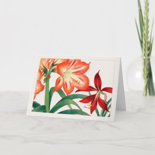 Amaryllis av Tanigami Konan Kort (Framsida)