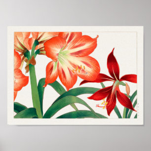Amaryllis av Tanigami Konan Poster