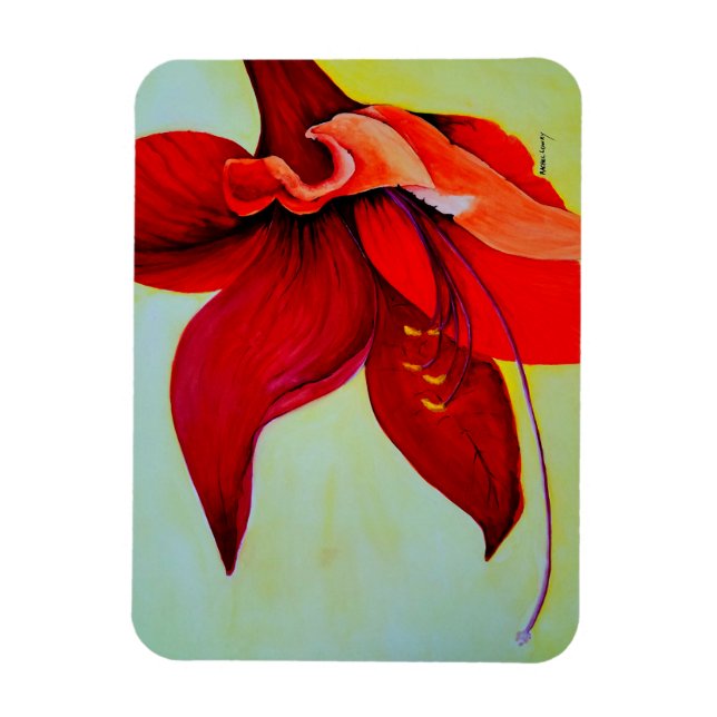 Amaryllis Blommar Magnet (Vertikal)