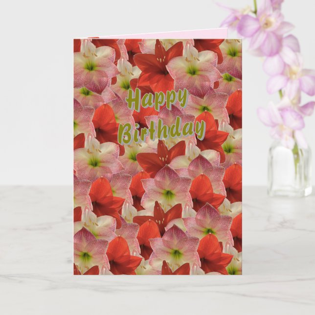 Amaryllis Blommigt Birthday Card Kort (Orkide)
