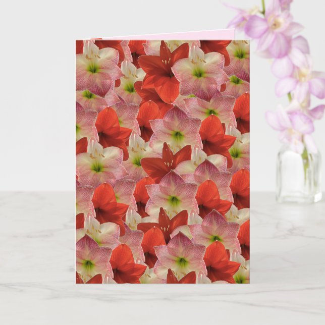 Amaryllis Blommigt Birthday Card Kort (Orkide)