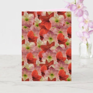 Amaryllis Blommigt Birthday Card Kort
