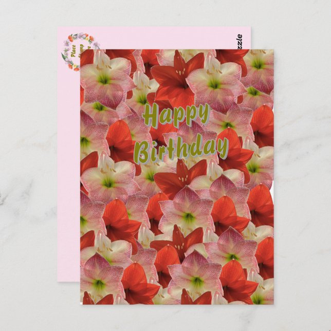 Amaryllis Blommigt Birthday Postcard Vykort (Fram/baksida)