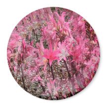 Amaryllis Bouquet.....