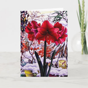 Amaryllis by Snö Window Helgkort