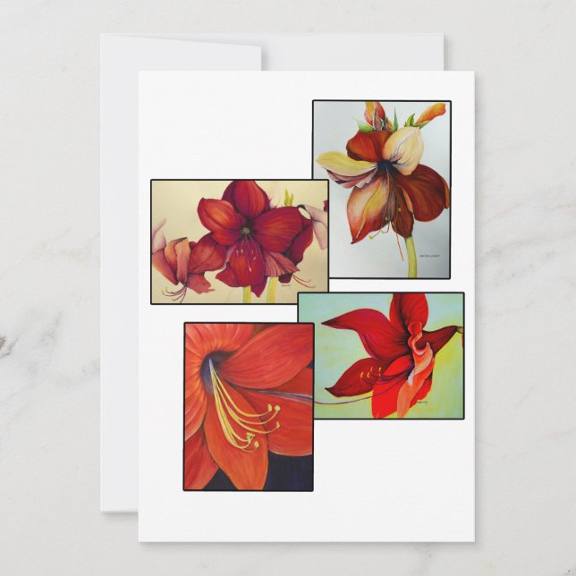 Amaryllis Colleting Greeting Card (Framsida)