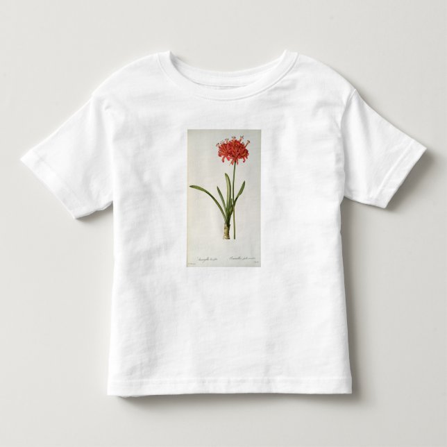 Amaryllis Curvifolia, 1809, från ` Les T Shirt (Framsida)