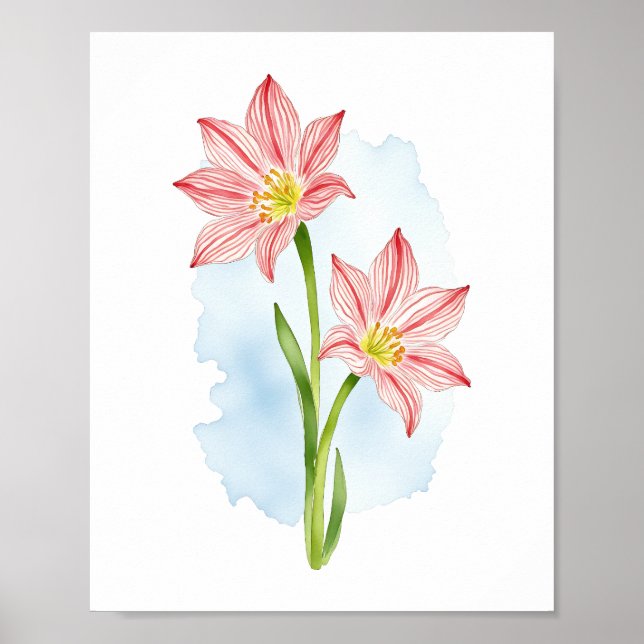 Amaryllis Flower Watercolor Poster (Framsidan)