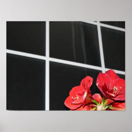 Amaryllis, fönsterruta, julblomma, rött poster