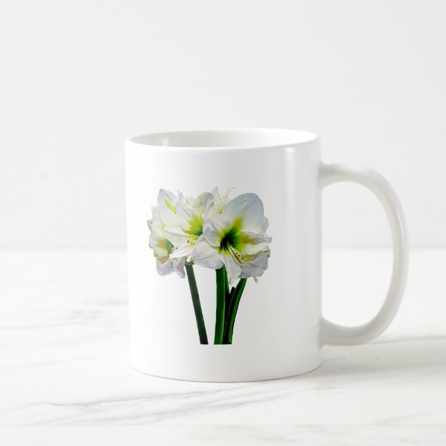 Amaryllis Grönt Princess Kaffemugg (Höger)