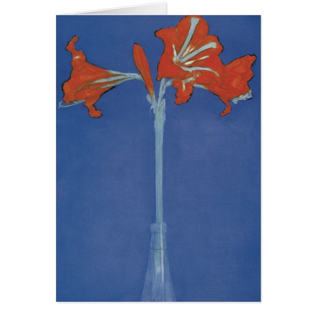 Amaryllis Hälsningskort (Framsidan)