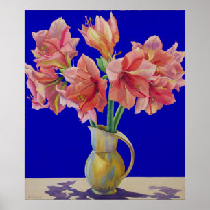 Amaryllis i en tillbringare 2007 poster