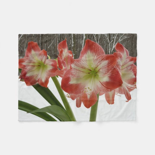 Amaryllis i Snö Red Helgdag Winter Blommigt Fleecefilt (Framsidan (Horisontell))