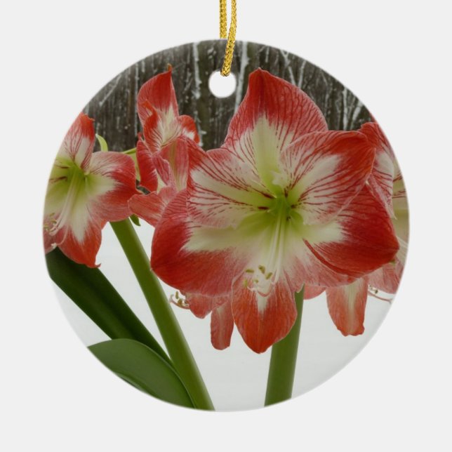 Amaryllis i Snö Red Helgdag Winter Blommigt Julgransprydnad Keramik (Framsidan)