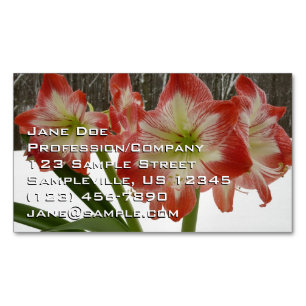 Amaryllis i Snö Red Helgdag Winter Blommigt Magnetiska Visitkort