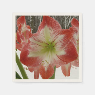 Amaryllis i Snö Red Helgdag Winter Blommigt Pappersservett