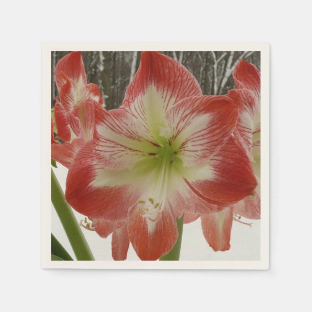 Amaryllis i Snö Red Helgdag Winter Blommigt Pappersservett (Framsidan)