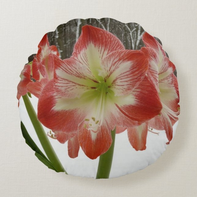 Amaryllis i Snö Red Helgdag Winter Blommigt Rund Kudde (Framsidan)