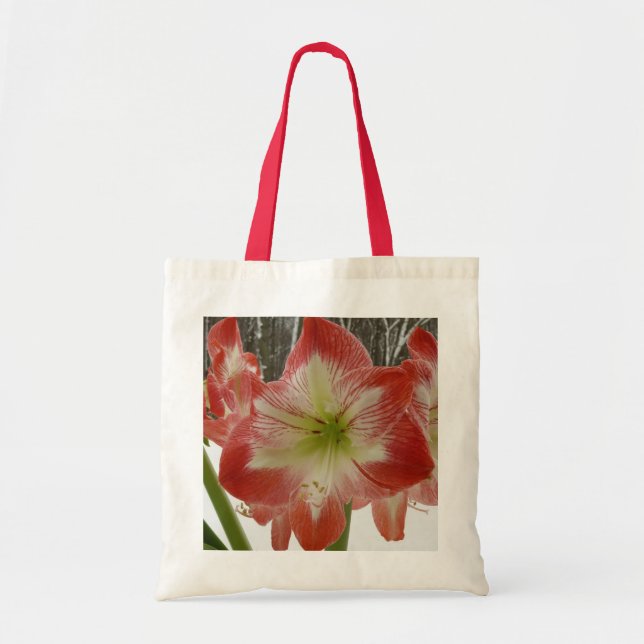 Amaryllis i Snö Red Helgdag Winter Blommigt Tygkasse (Framsidan)