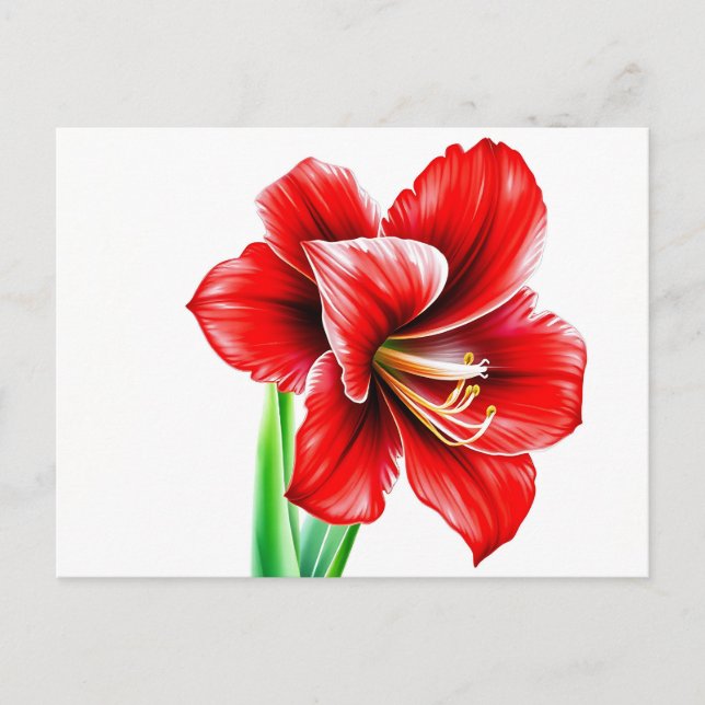 Amaryllis i vattenfärg i livfull röd färg vykort (Framsida)
