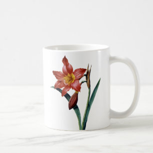 Amaryllis Kaffemugg