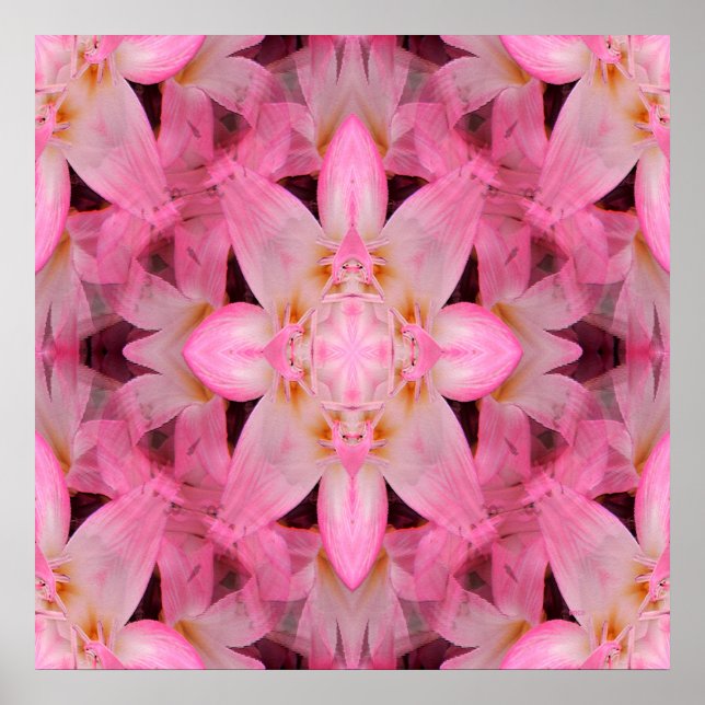 Amaryllis Kärlek.. Poster (Framsidan)