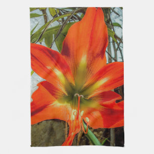 Amaryllis Närbild Köks Handdukar