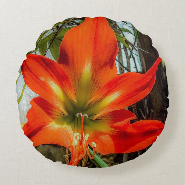 Amaryllis närbild rund kudde  (Framsidan)