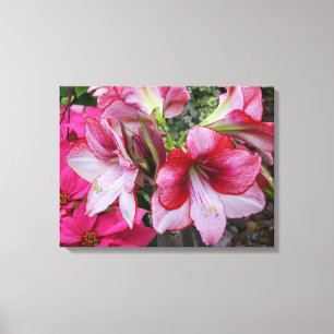 Amaryllis och Poinsettia Red Helgdag Flowers Canvastryck