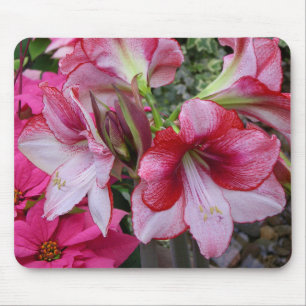 Amaryllis och Poinsettia Red Helgdag Flowers Musmatta