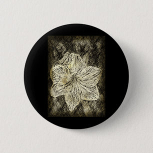 Amaryllis Old Time Sketch Knapp
