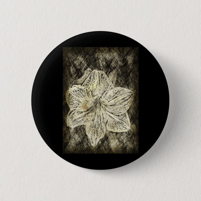 Amaryllis Old Time Sketch Knapp (Framsida)