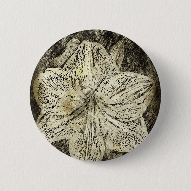 Amaryllis Old Time Sketch Knapp (Framsida)