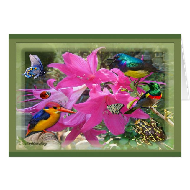 Amaryllis Party Hälsningskort (Framsidan Horizontal)