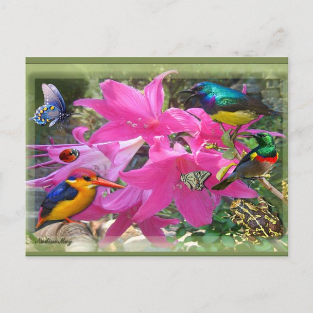 Amaryllis Party Inbjudan Vykort (Framsida)