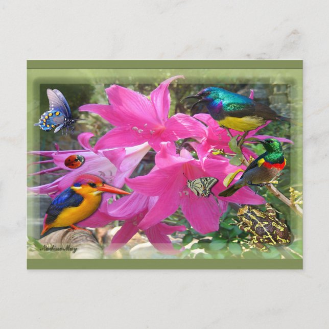 Amaryllis Party Inbjudan Vykort (Framsida)