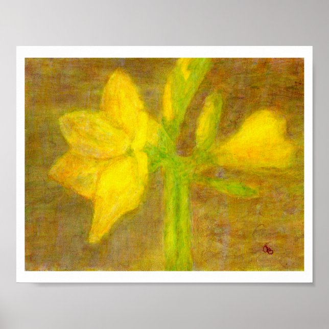 Amaryllis, Poster (Framsidan)
