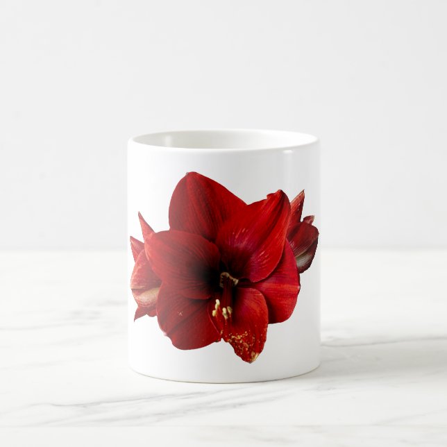 Amaryllis, röd blomma kaffemugg (Center)