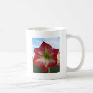 Amaryllis röd och vit MegaStar Kaffemugg