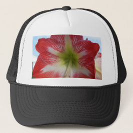 Amaryllis röd och vit MegaStar Truckerkeps