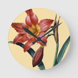 Amaryllis Rund Klocka