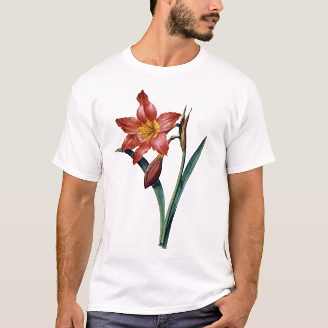 Amaryllis Tee (Framsida)