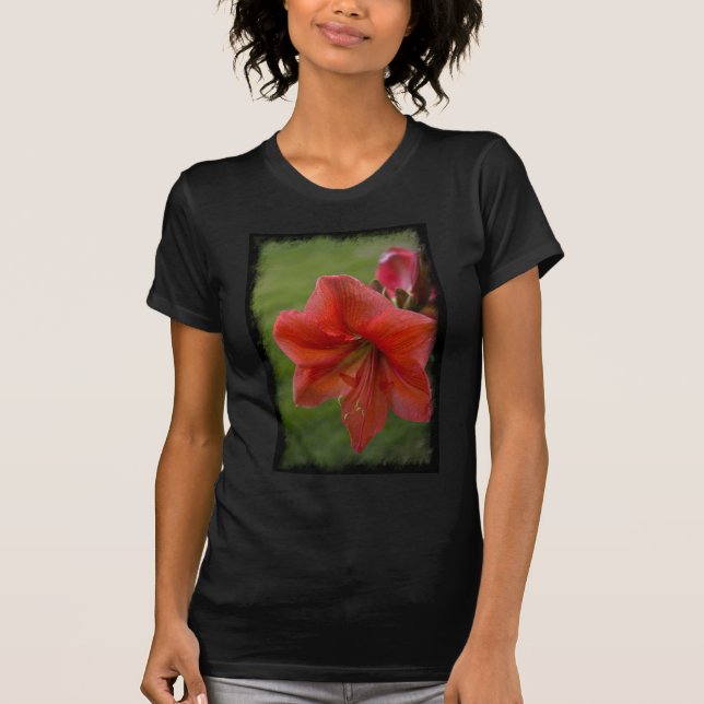 Amaryllis Tee Shirt (Framsida)