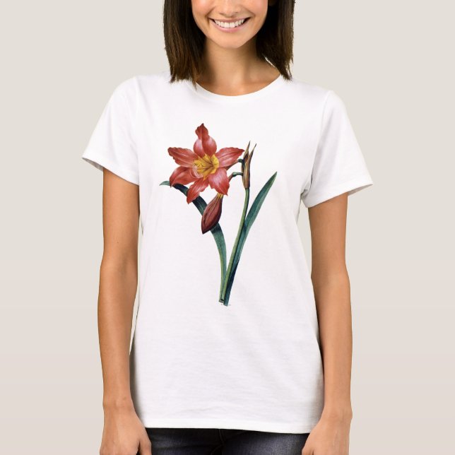Amaryllis Tee Shirt (Framsida)