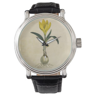 Amaryllis Tulip Botanical Garden Flower Armbandsur