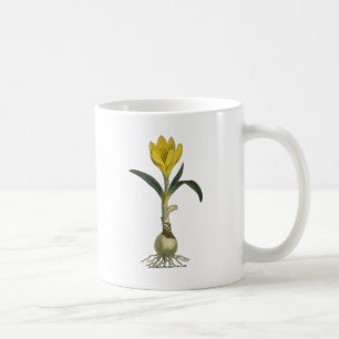 Amaryllis Tulip Botanical Garden Flower Kaffemugg