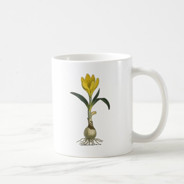 Amaryllis Tulip Botanical Garden Flower Kaffemugg (Höger)
