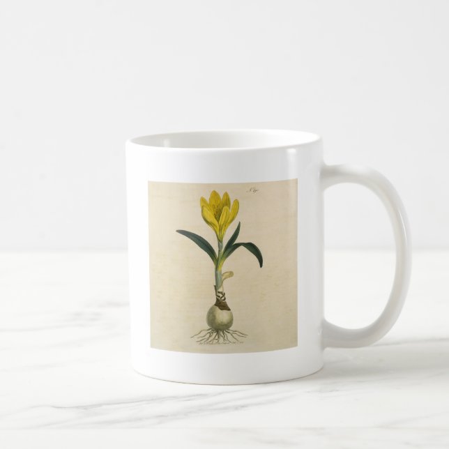 Amaryllis Tulip Botanical Garden Flower Kaffemugg (Höger)