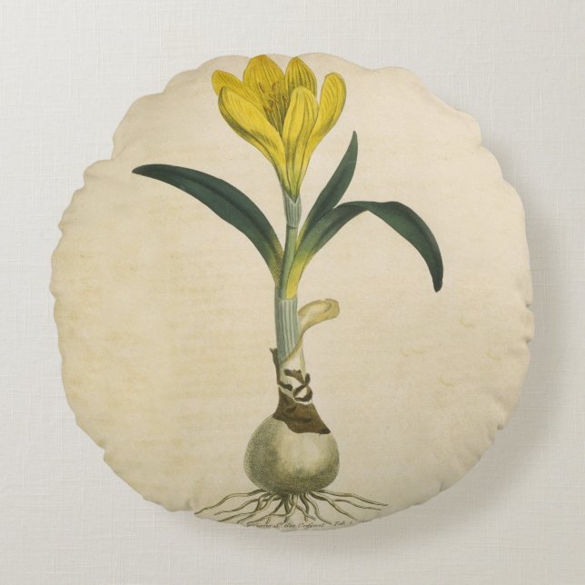 Amaryllis Tulip Botanical Garden Flower Rund Kudde (Framsidan)