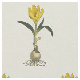 Amaryllis Tulip Botanical Garden Flower Tyg